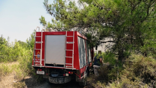 Μεγάλη φωτιά στην Αλίαρτο Βοιωτίας: Συναγερμός στην Πυροσβεστική – Σηκώθηκαν εναέρια μέσα