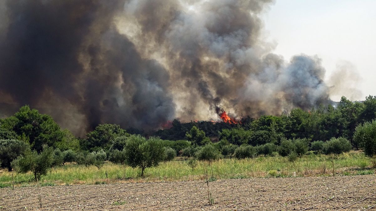 Φωτιά στη Βοιωτία – Συναγερμός στην Πυροσβεστική