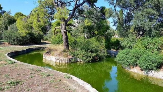 9+1: Οι καλύτερες επιλογές για πικ νικ στην Αθήνα!
