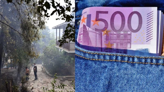 500 ευρώ πρόστιμο: Υπό το φόβο των προστίμων οι ιδιοκτήτες ξεριζώνουν ακόμα και δέντρα από τα οικόπεδά τους