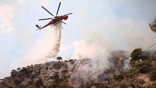 Μεγάλη φωτιά στη Βοιωτία: Πνέουν πολύ ισχυροί άνεμοι
