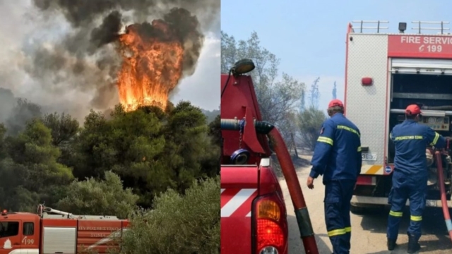 Φωτιά στην Αργολίδα: Φουντώνει το πύρινο μέτωπο – Καίει κοντά σε οικισμό