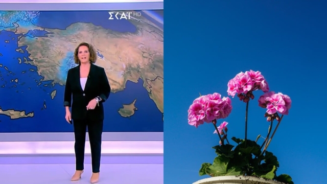 Η πιο βασική επισήμανση της Χριστίνας Σούζη που όλοι πρέπει να λάβουν υπόψη: «Τα μεσημέρια και τα απογεύματα στα επόμενα 24ωρα περιμένουμε…»