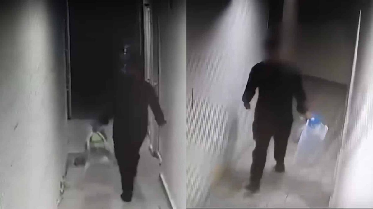 Φρίκη στη Βραυρώνα: Σοκαριστικό βίντεο από τη στιγμή που ο πατέρας πετάει το βρέφος στα σκουπίδια
