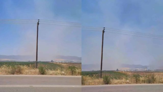 Φωτιά σε παράδρομο της εθνικής οδού Αθηνών – Λαμίας: Επιχειρούν 3 αεροσκάφη – Δείτε το βίντεο