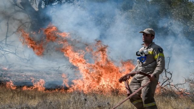Μεγάλες διαστάσεις παίρνει η φωτιά στην Κερατέα: Ήχησε το «112» σε όλη την Αττική – Εκκενώθηκαν 4 οικισμοί, τιτάνιες προσπάθειες της Πυροσβεστικής