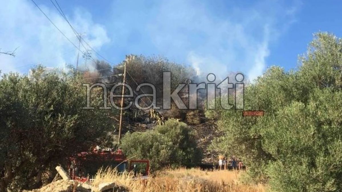Φωτιά στο Ηράκλειο: Μία «ανάσα» μακριά από σπίτια στο Κορώνη Μαγαρά (video)