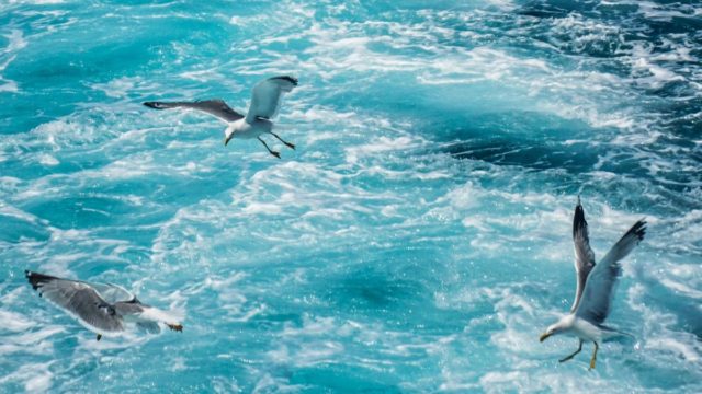 Καιρός σήμερα 26/6: Με 37άρια και 7άρια θα κυλήσει η Τετάρτη – Πότε αλλάζει το σκηνικό καύσωνα (video)