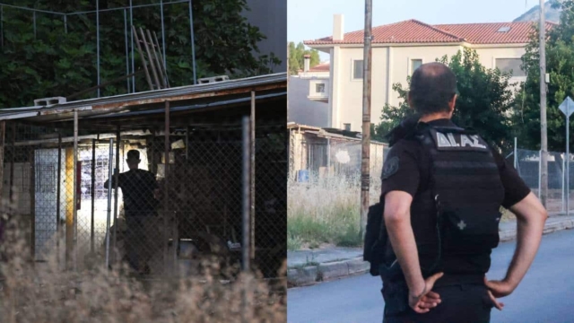 Έγκλημα στον Διόνυσο: «Τον βρήκε καρφωμένο στο στήθος και παγωμένο» – Συγκλονιστική μαρτυρία για τον 40χρονο νεκρό άνδρα (photos)