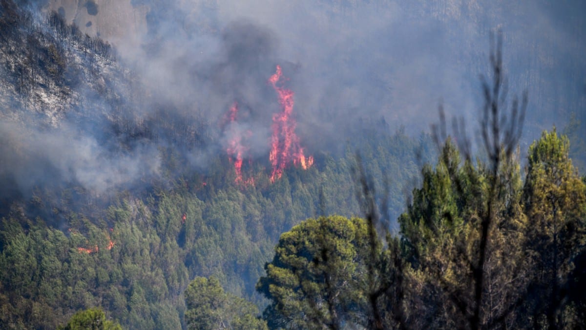 Συναγερμός στην Πυροσβεστική: Φωτιά στο Ρέθυμνο – Ήχησε το 112