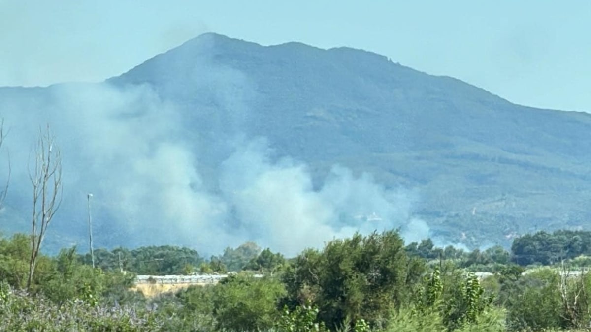 Δασική πυρκαγιά στην Αιτωλοακαρνανία: Καίει κοντά στο Αγρίνιο, «Απομακρυνθείτε» έστειλε το 112