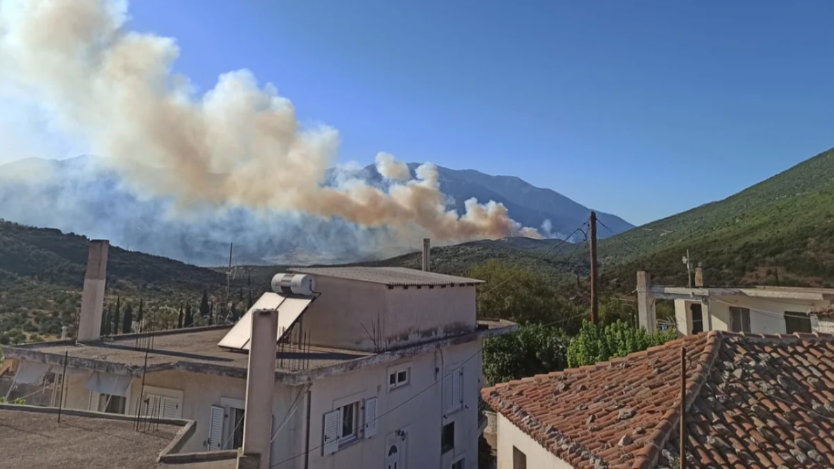 Καίγεται δάσος στο Δίστομο – Ισχυρές δυνάμεις στο σημείο για την κατάσβεση της φωτιάς