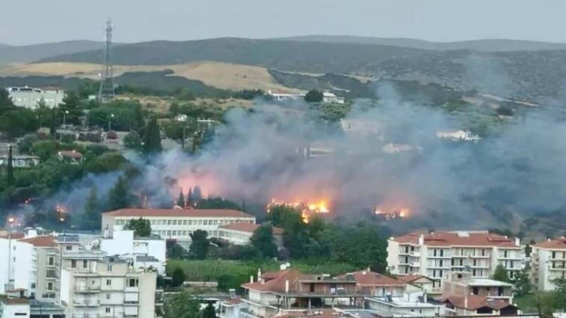 Συναγερμός στη Λιβαδειά: Φωτιά περικύκλωσε το νοσοκομείο!