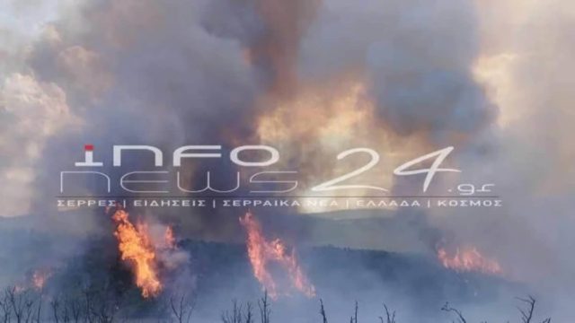 Μεγάλη φωτιά ξέσπασε στη Νιγρίτα Σερρών – Σηκώθηκαν και εναέρια (video)