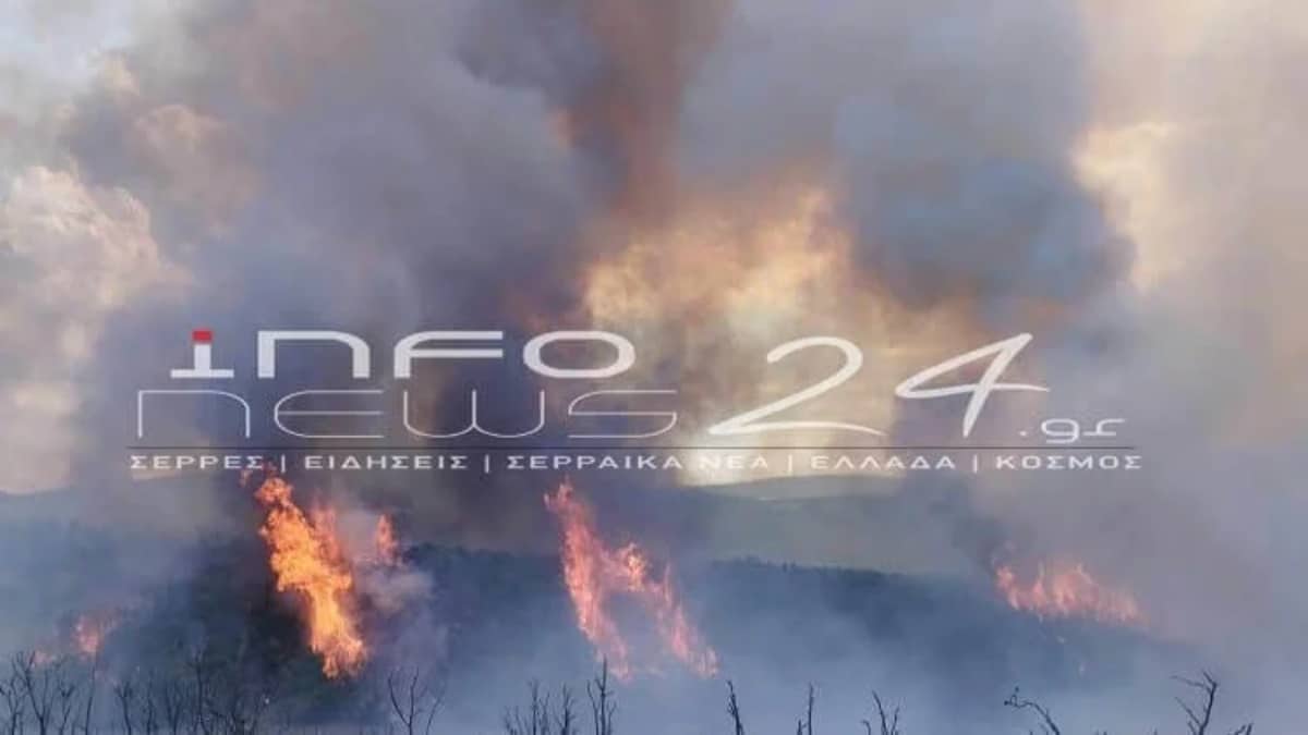 Μεγάλη φωτιά ξέσπασε στη Νιγρίτα Σερρών – Σηκώθηκαν και εναέρια (video)