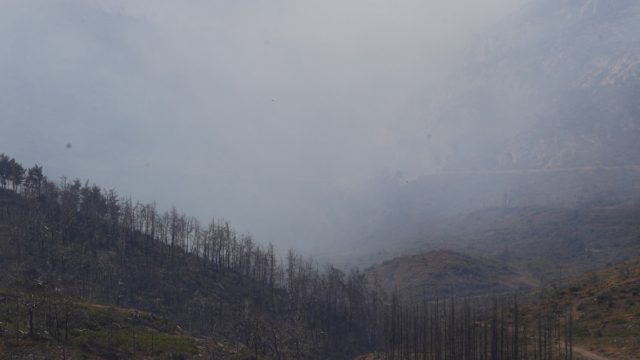 Χωρίς ενεργό μέτωπο η φωτιά στην Πάρνηθα μετά από 2,5 ώρες – Εντοπίστηκε από drones της Πυροσβεστικής