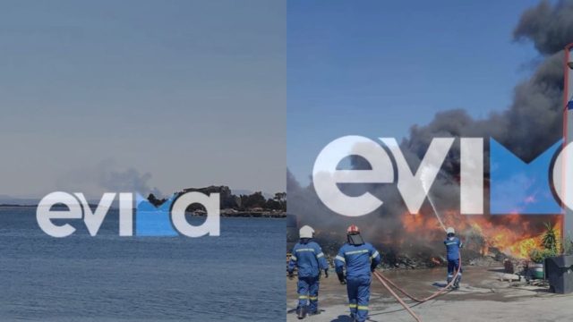 Φωτιά ξέσπασε στη Ριτσώνα – Φλέγεται εργοστάσιο με χημικά (video)