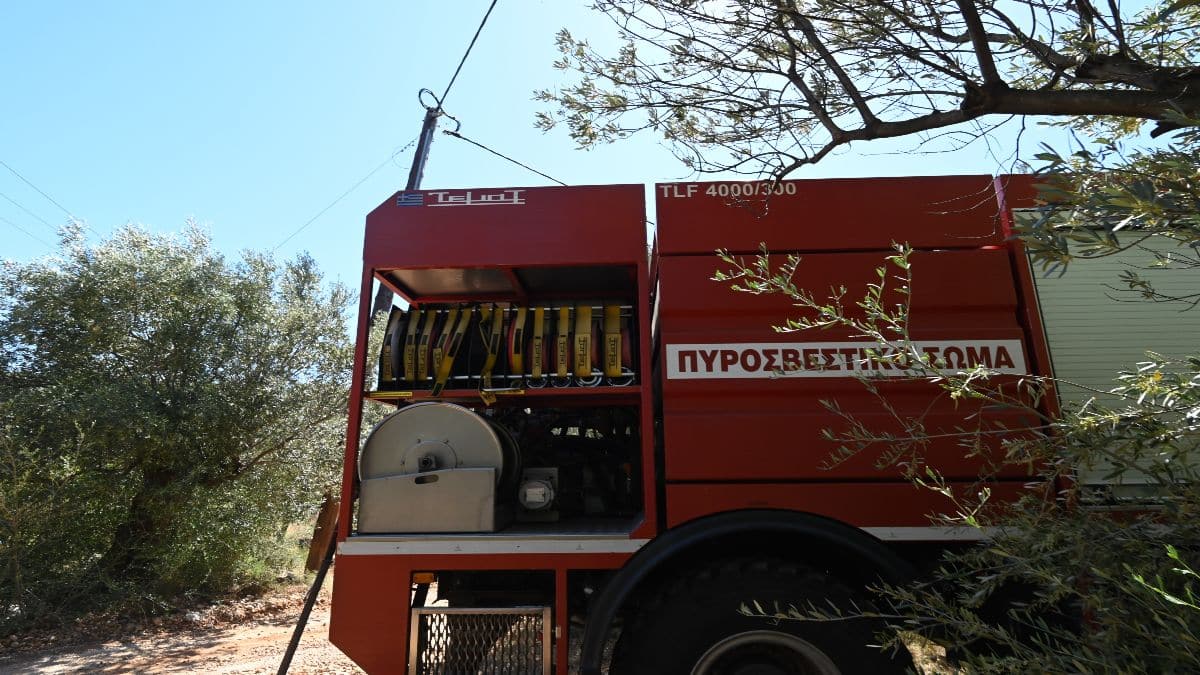 Φωτιά στον Έβρο: Επιχειρεί ισχυρή δύναμη της πυροσβεστικής