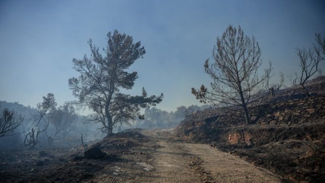 Φωτιά στη Μεγαλόπολη Αρκαδίας: Σηκώθηκαν εναέρια μέσα
