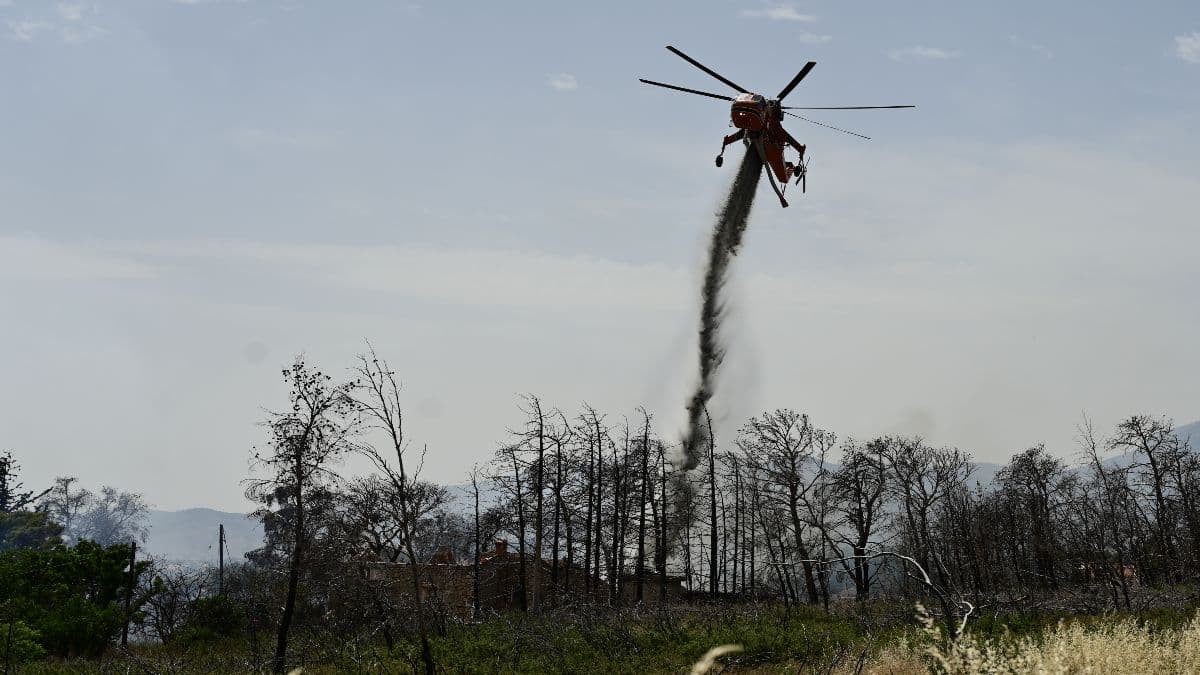 Φωτιά στο Κιλκίς: Ενεργοποιήθηκε η πυροσβεστική στην περιοχή Χέρσο