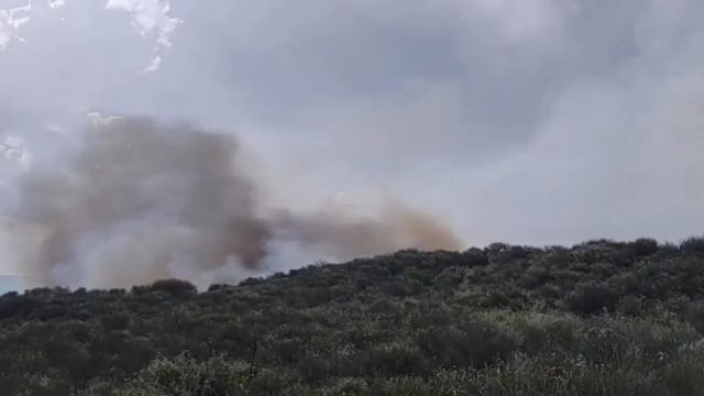Τεράστια η φωτιά στην Καλαμπάκα: «Δίνουμε μάχη για να σωθεί το Ορθοβούνι», φωνάζει ο Δήμαρχος (video)
