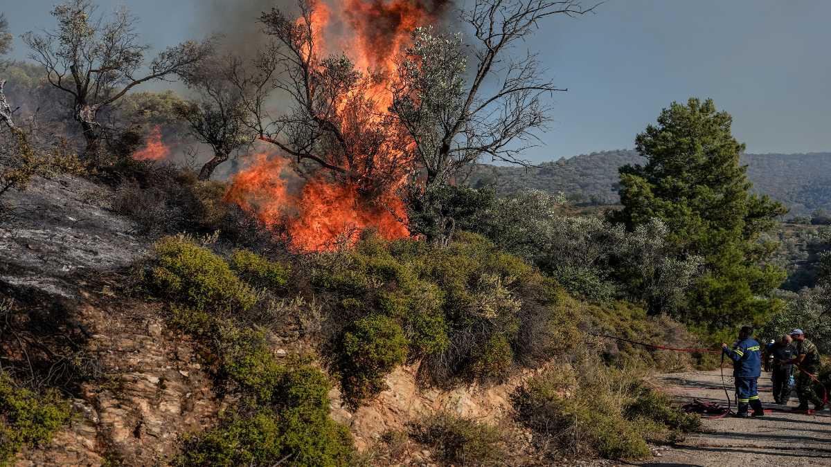Φωτιά στο Μάτι: Καίει δίπλα σε σπίτια – Συναγερμός με μήνυμα του «112» στην Αττική