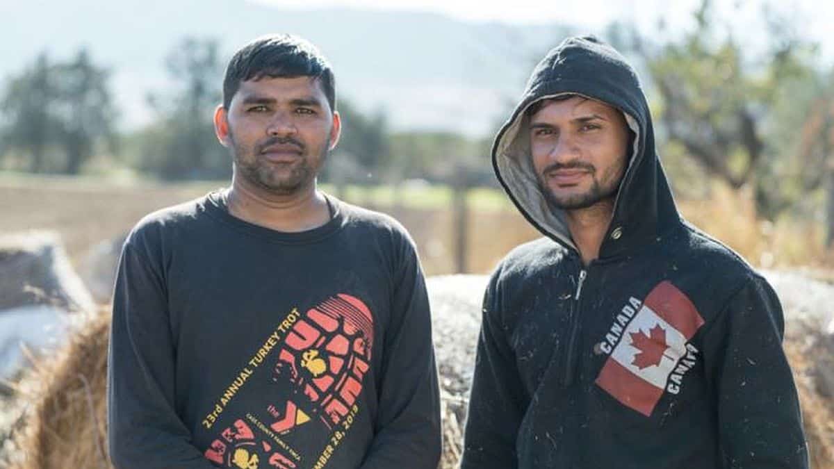 «Δε μας λείπει τίποτα»: Τους χαμογέλασε η τύχη – Ινδοί αγρότες ήρθαν στην Ελλάδα & έγιναν κτηνοτρόφοι στη Χαλκιδική