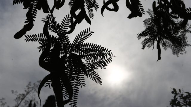 Καιρός σήμερα 22/6: Παραμένει σε κλοιό ζέστης και κινδύνων πυρκαγιάς η χώρα με ισχυρούς ανέμους – Ξεπέρασαν τις 65 οι πυρκαγιές σε λίγες ώρες