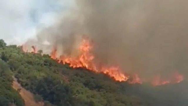 Μεγάλη φωτιά στη Λαμία – Ρίχτηκαν στη «μάχη» και εναέρια μέσα (video)