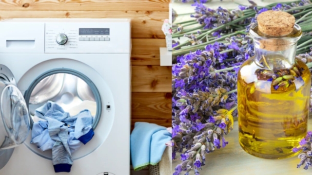 Πες αντίο στο μαλακτικό ρούχων: DIY συνταγή με ξύδι για να μοσχοβολάνε καθαριότητα