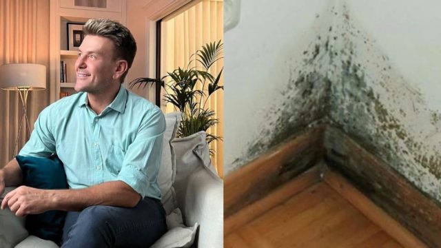 Ποτέ ξανά μούχλα στους τοίχους: Ο Σπύρος Σούλης σας συμβουλεύει πώς να τους καθαρίσετε