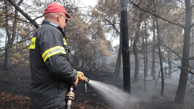 Συναγερμός στην Πυροσβεστική: Φωτιά σε Έβρο και Ρόδο