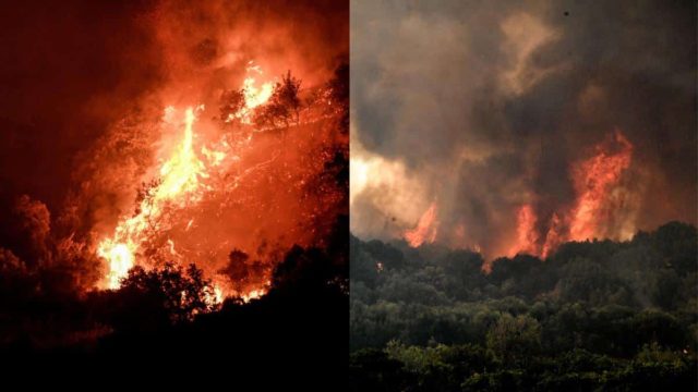 Σε «πύρινο» κλοιό όλη η χώρα: Ξέσπασαν 41 φωτιές το τελευταίο 24ωρο – Συνελήφθη ένας άνδρας στην Αιτωλοακαρνανία (video)