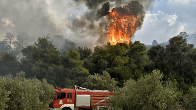 «Καμπανάκι» από την Πυροσβεστική: Στις 34 οι πυρκαγιές το τελευταίο 24ωρο ελέω καύσωνα