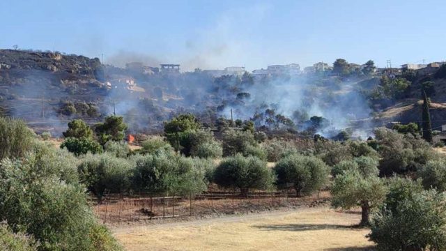 Φωτιά στη Σαλαμίνα στους οικισμούς Γαλήνη και Άγιος Ιωάννης – Ήχησε το 112