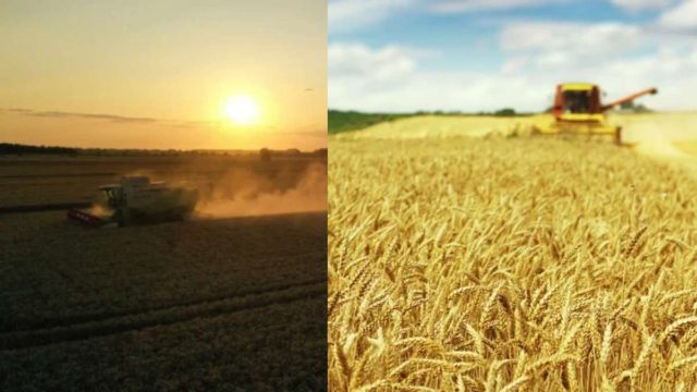 Η Νορβηγία συσσωρεύει σιτηρά και προετοιμάζεται «για το αδιανόητο»