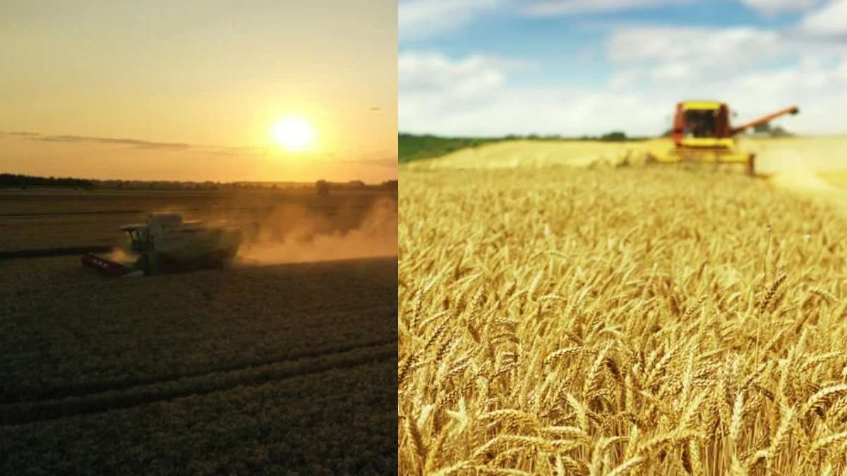 Η Νορβηγία συσσωρεύει σιτηρά και προετοιμάζεται «για το αδιανόητο»