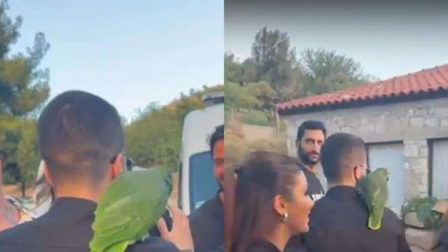 Survivor 2024: Χομπίστας! Πρώην παίκτης έφτασε στον ημιτελικό με τον παπαγάλο του (video)