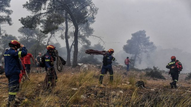 Φωτιά στο Μαραθώνα: Άμεση κινητοποίηση της Πυροσβεστικής