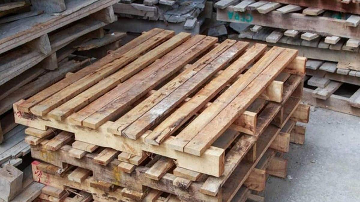 Από τις παλέτες στον παράδεισο: Γυναίκα κατασκευάζει ονειρεμένο κιόσκι από ανακυκλωμένο ξύλο