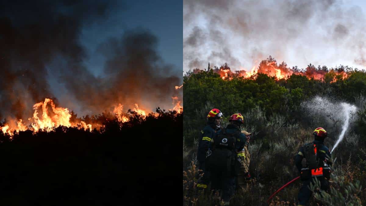 Μια ζωή τα ίδια και η Αττική αργοσβήνει: Ο 48ωρος εφιάλτης σε Σταμάτα – Κερατέα και η τραγική εικόνα μετά τις πυρκαγιές