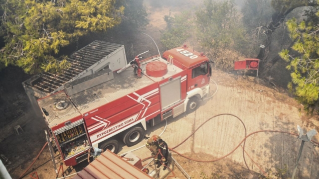 Συναγερμός στην Πυροσβεστική: Φωτιά σε δασική έκταση στο Σουφλί Έβρου – Μεγάλη και η πυρκαγιά στην Πάτρα