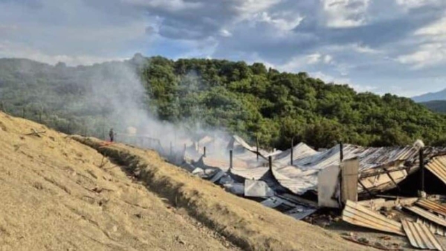 Καταστροφή στην πτηνοτροφική μονάδα στη Δωδώνη – Νεκρά πάνω από έξι χιλιάδες κοτόπουλα