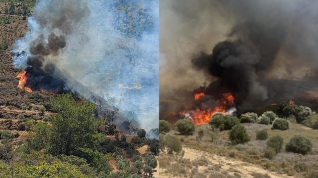 Φωτιές σε Κω και Χίο: Διάσπαρτες εστίες καίνε τα νησιά – Μήνυμα από το 112 για απομάκρυνση ντόπιων και τουριστών