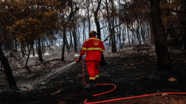 Συναγερμός στην Πυροσβεστική: Φωτιά στον Όλυμπο – Καίει σε δύσβατη περιοχή