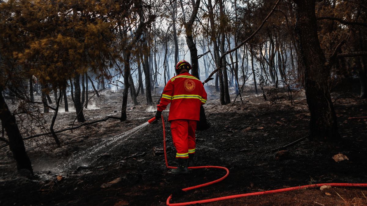 Συναγερμός στην Πυροσβεστική: Φωτιά στον Όλυμπο – Καίει σε δύσβατη περιοχή