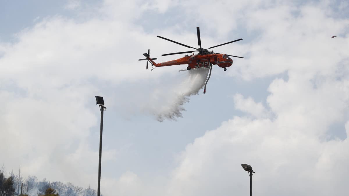 Συναγερμός στην Πυροσβεστική: Φωτιά στην Πρέβεζα στον δήμο Ζηρού – Μεγάλη κινητοποίηση της Πυροσβεστικής