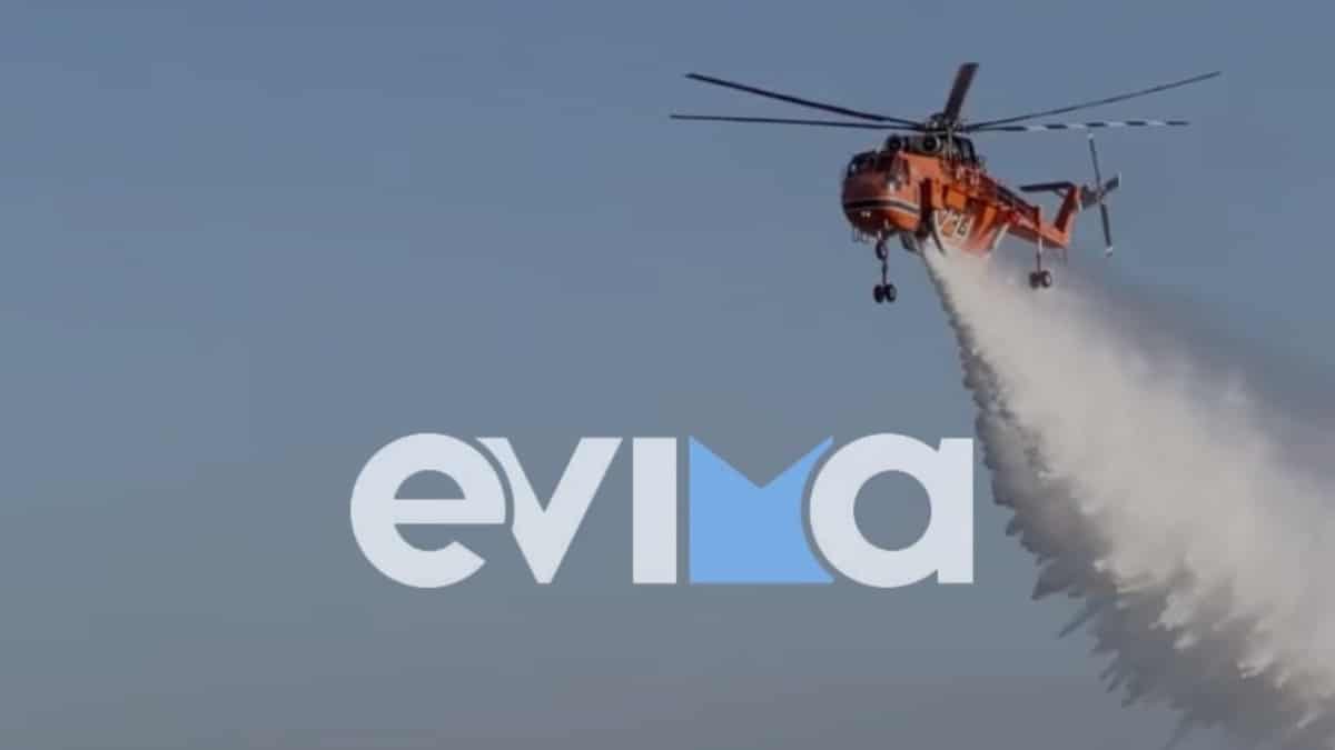 Μεγάλη φωτιά στην Εύβοια: Ένα δάσος στις φλόγες – Στο σημείο ισχυρές πυροσβεστικές δυνάμεις από όλο το νησί