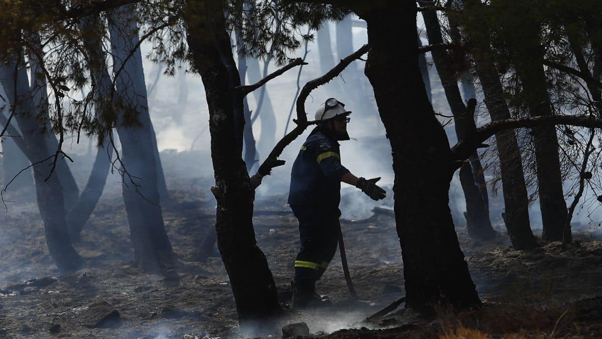 Φωτιά στην Κέρκυρα: Στην περιοχή Γλυφά, στο Μπαρμπάτι – Σπεύδει η πυροσβεστική