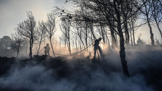 Πύρινα μέτωπα σε Κω, Χίο και Κρήτη: Ολονύχτια μάχη της πυροσβεστικής με τις φλόγες
